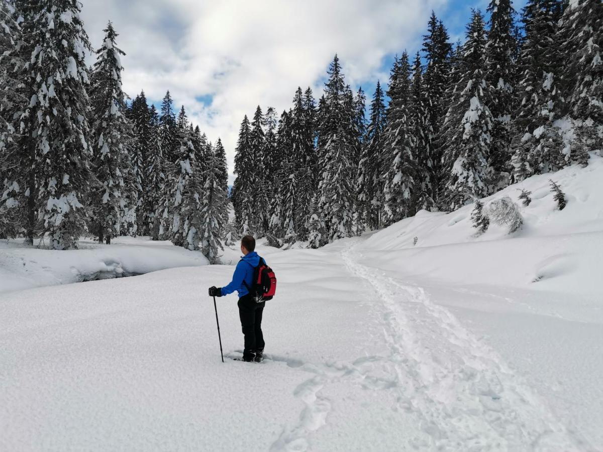 Hotel Garni Sottobosco Димаро Экстерьер фото
